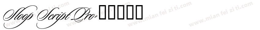 Sloop Script Pro字体转换